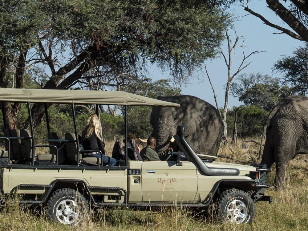 hyena_pan_game_drive_holgbc