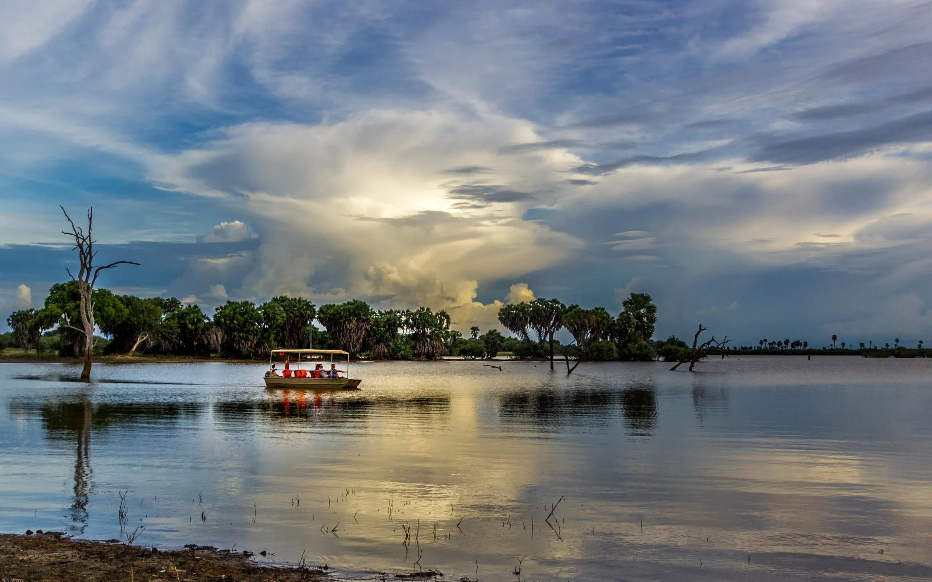 A safari boat glides across the large lake in Nyerere National Park during a clear-blue midday. The lake reflects its surroundings beautifully.