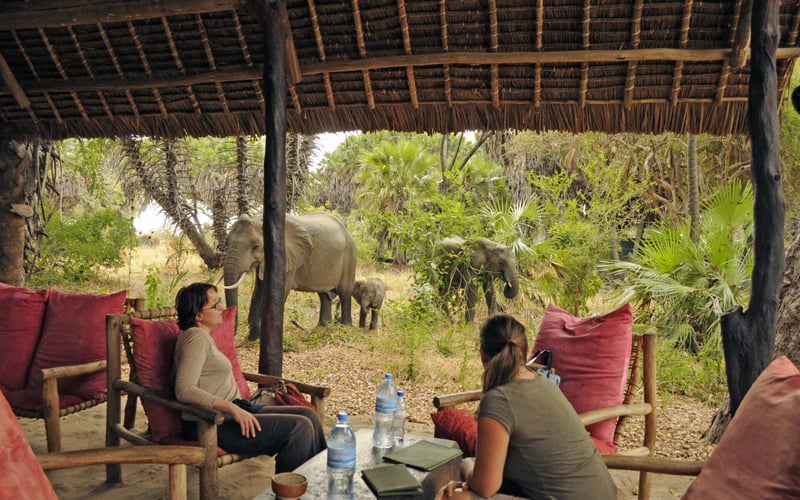 Two ladies watch elephants wander by a sheltered dining area.