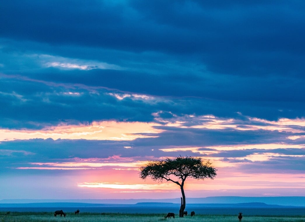 maasai-mara-7446939_vc8mqf-1