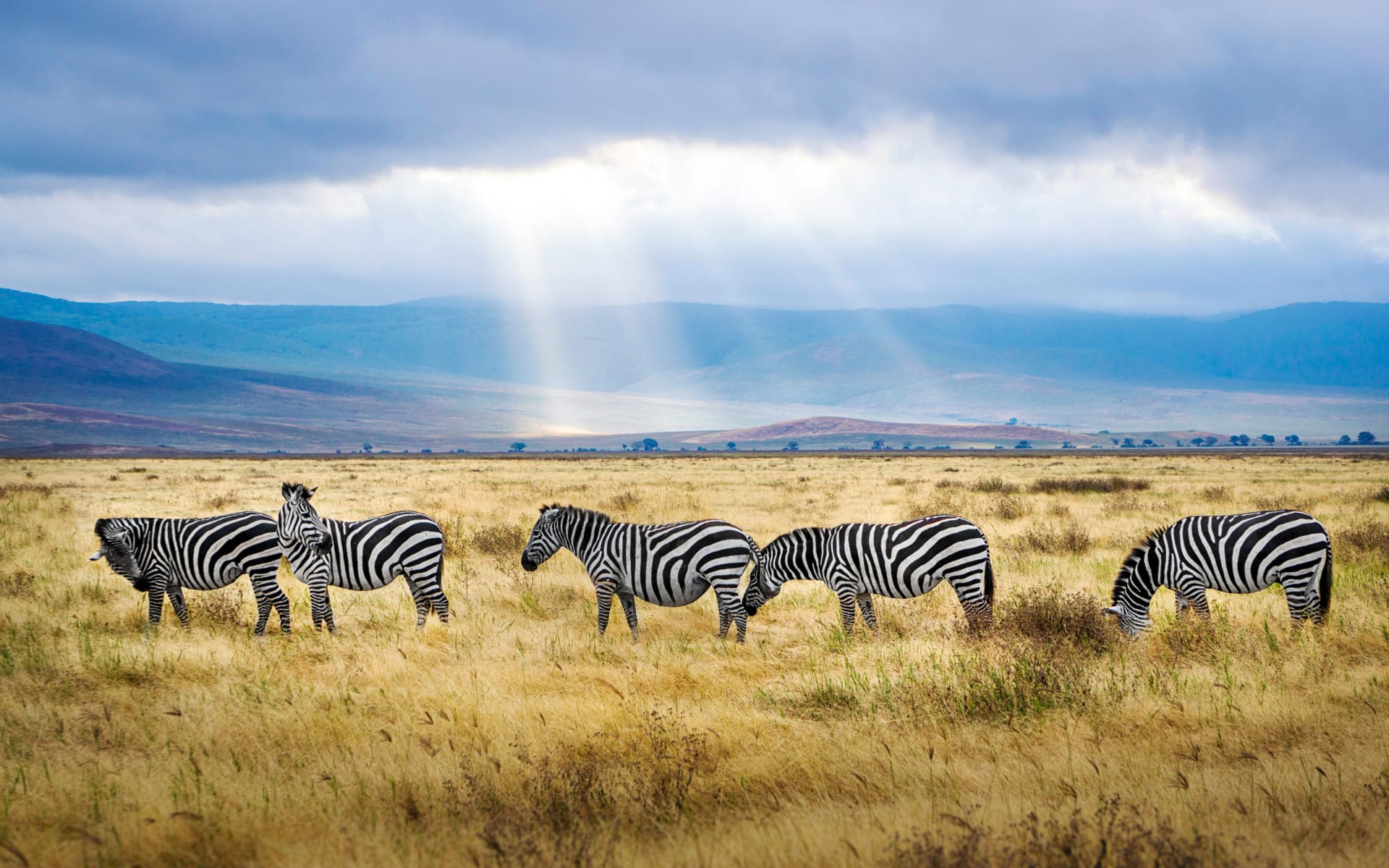 ngorongoro_unsplash_v3obcw