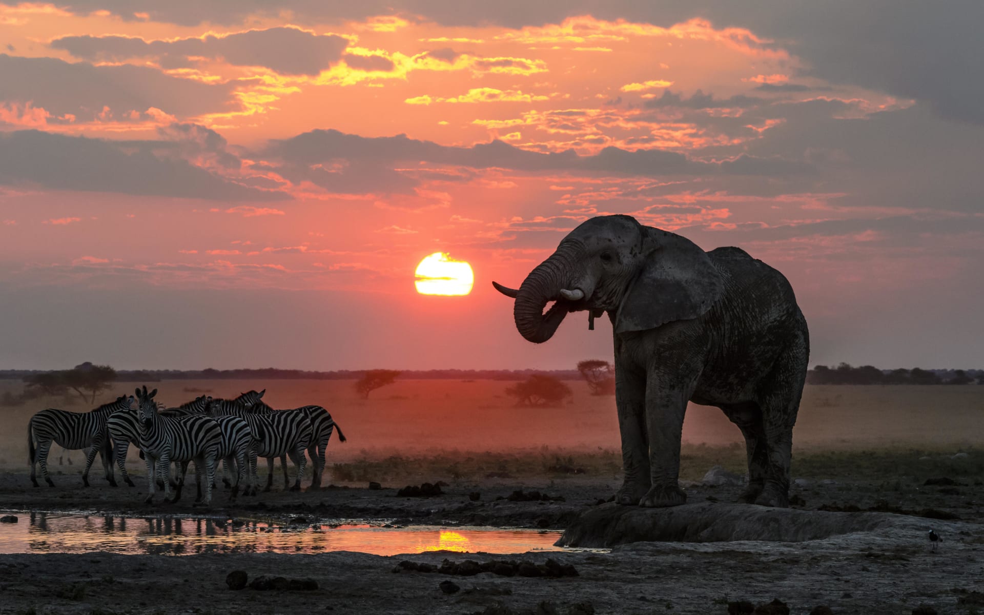 nxai_pan_sunset_dao2bs-1