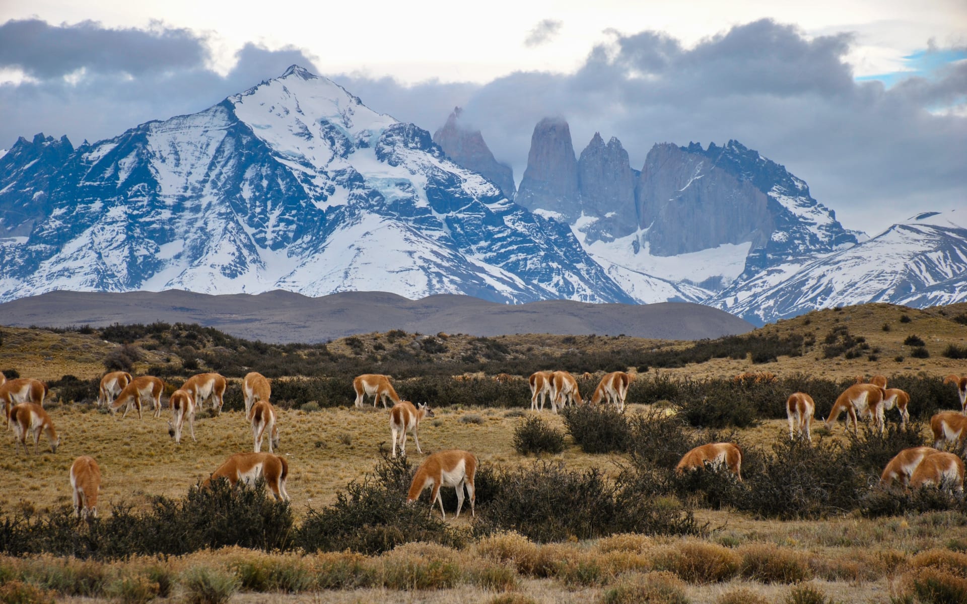 patagonia_chile_zkvtss-1