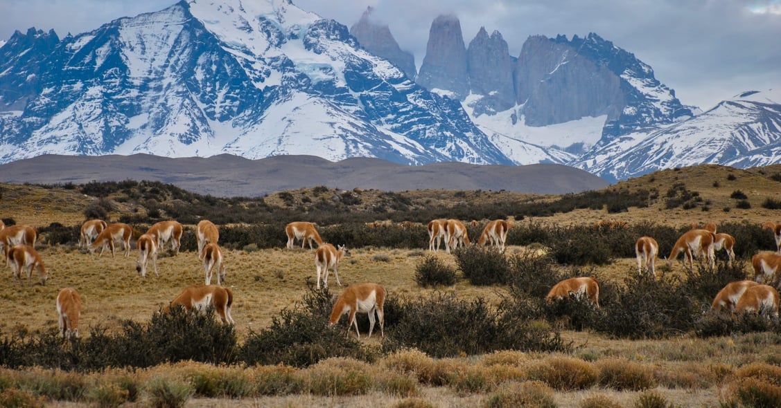 Best Time to Visit Patagonia