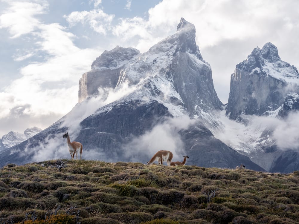 peru_torres_del_paine_hug063-1