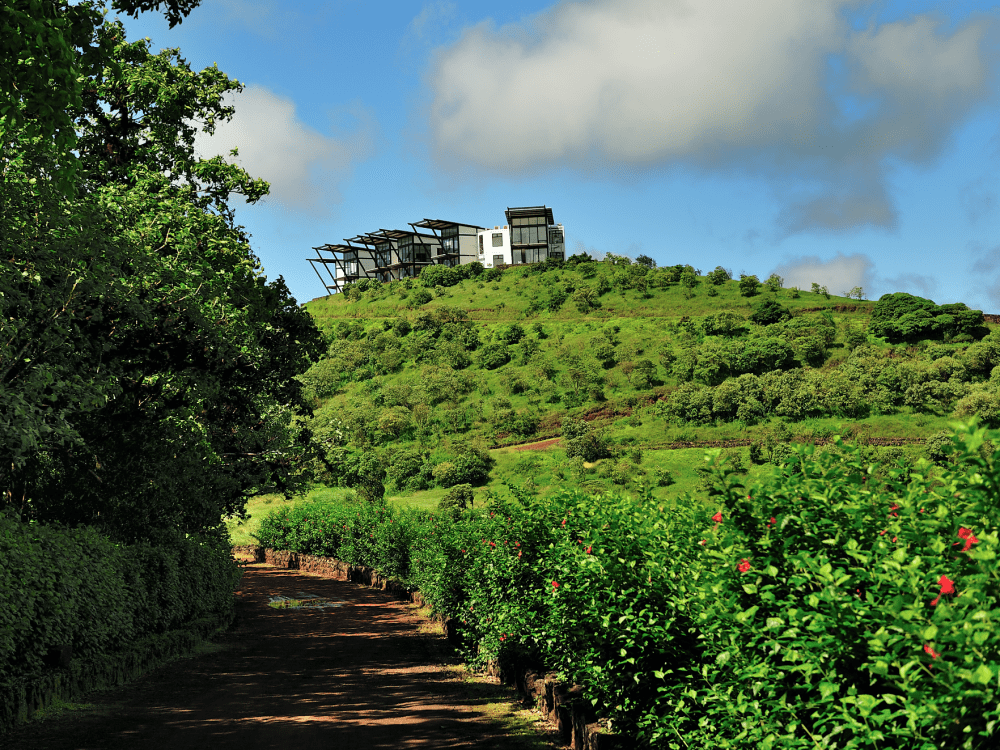 Panoramic view of Pikaia Lodge from the driveway