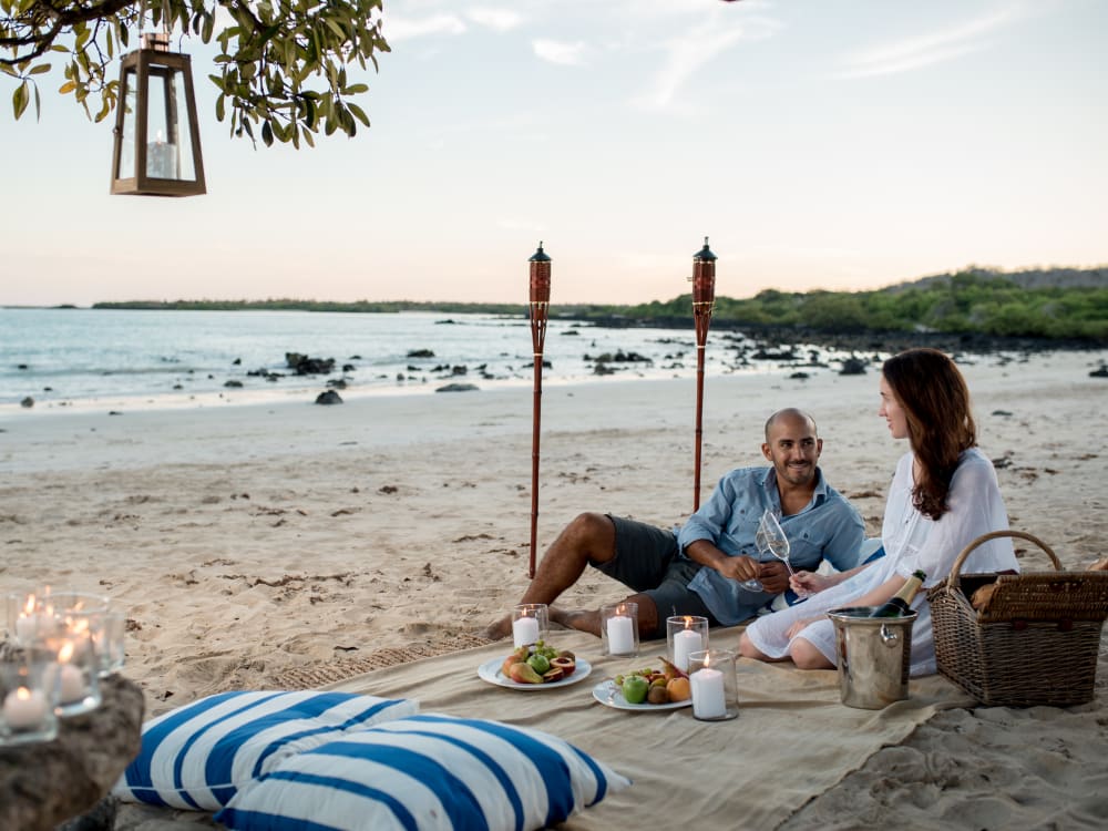 A couple enjoying a romantic picnic on the beach