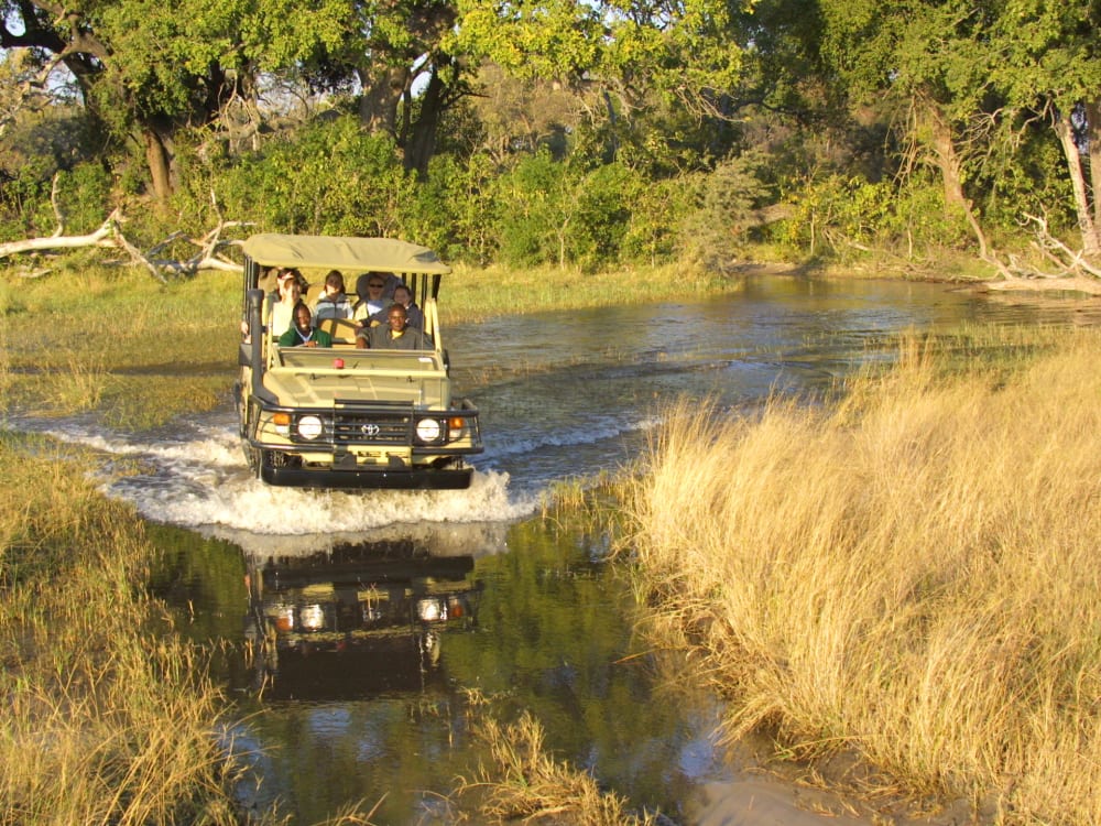 pom_pom_camp_botswana_game_drive