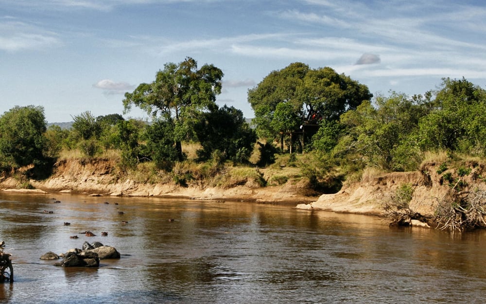 serian_the_nest_kenya_hippos