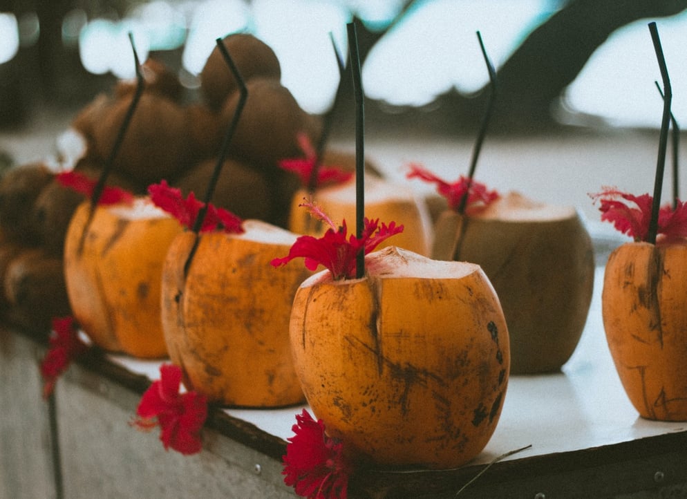 seychelles_coconuts_unsplash_dario-didon