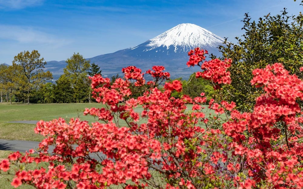 Mount Fuji looks incredible during a summer's day in Japan.