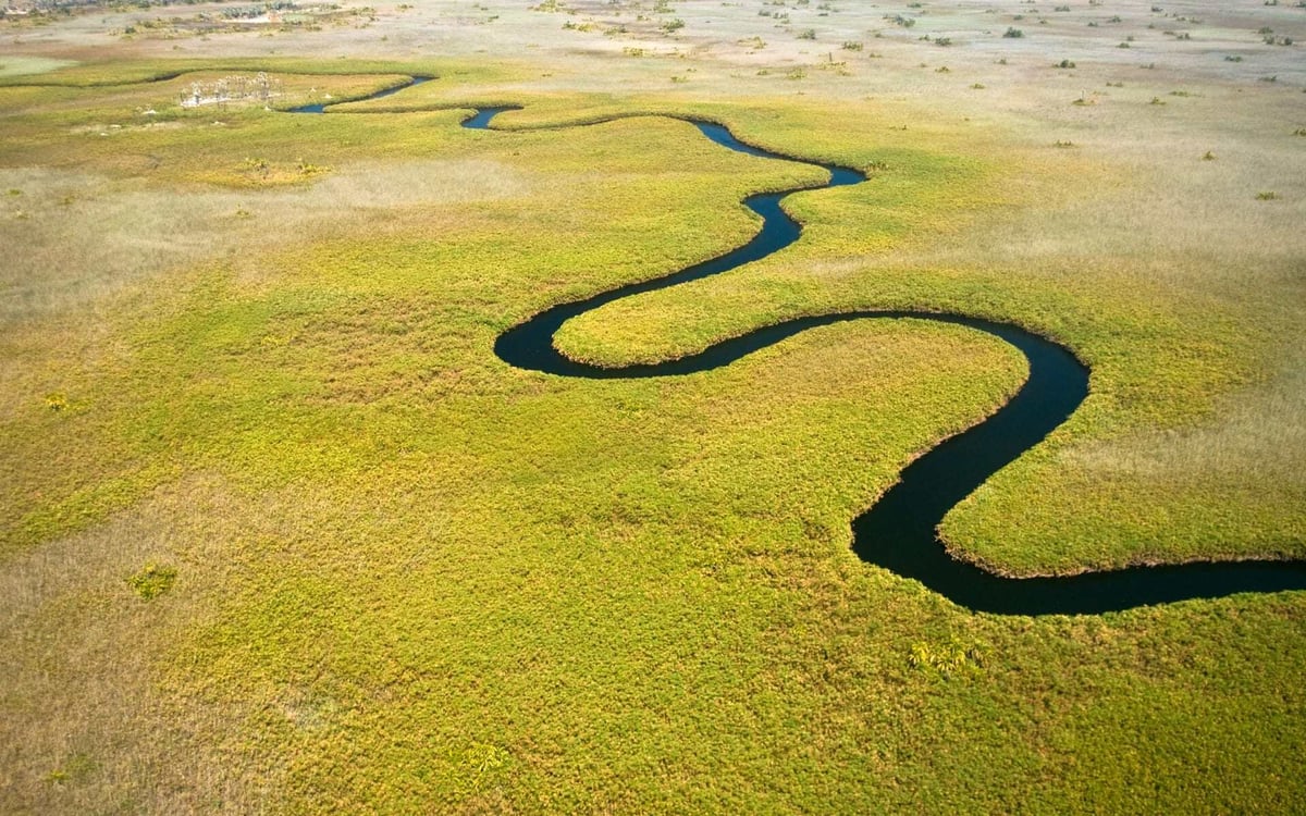 The Okavango Delta has a winding river surrounded by green.