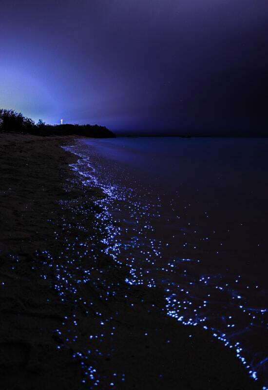 Witness the incredible bioluminescence on your Maldives tour.
