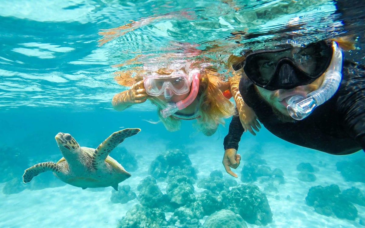Two people snorkel in the Galapagos Islands.