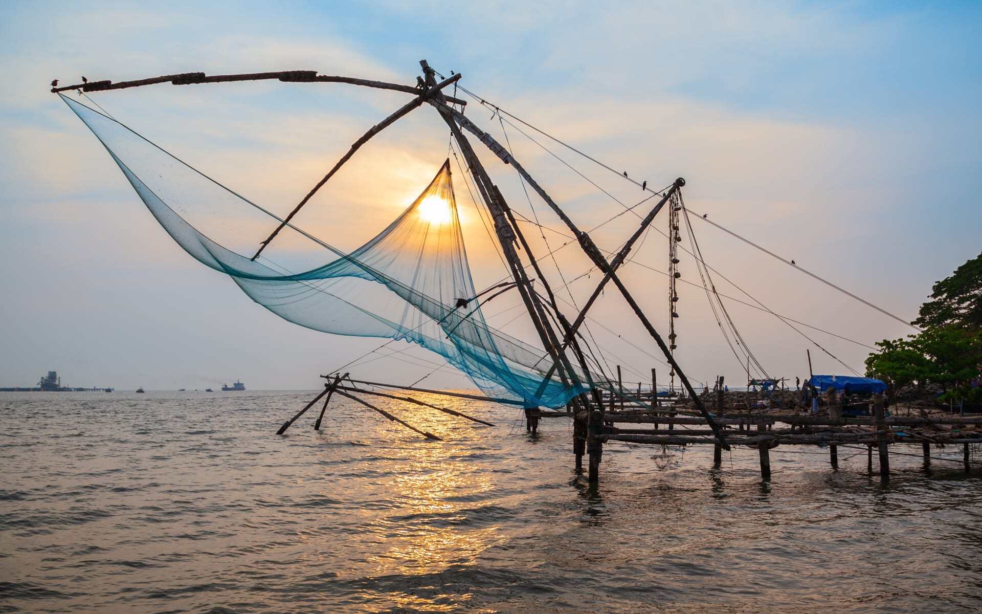 The Chinese fishing nets in Cochin are extended over the glowing water.