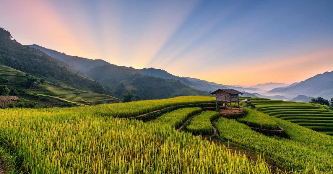 The rice fields of Mu Cang Chai, YenBai, Vietnam.