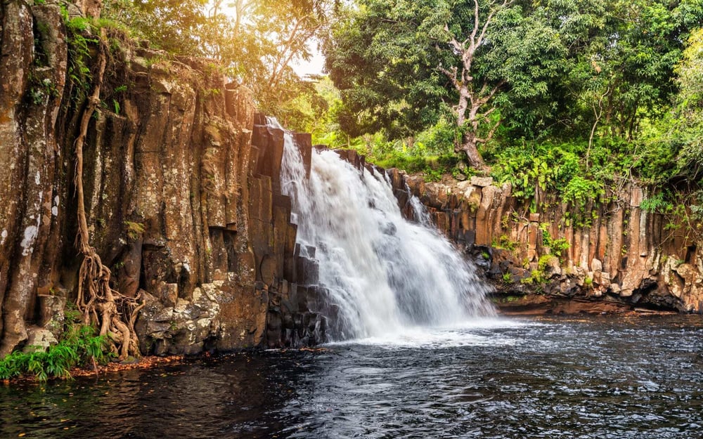A waterfall tumbles between jungle in Mauritius.