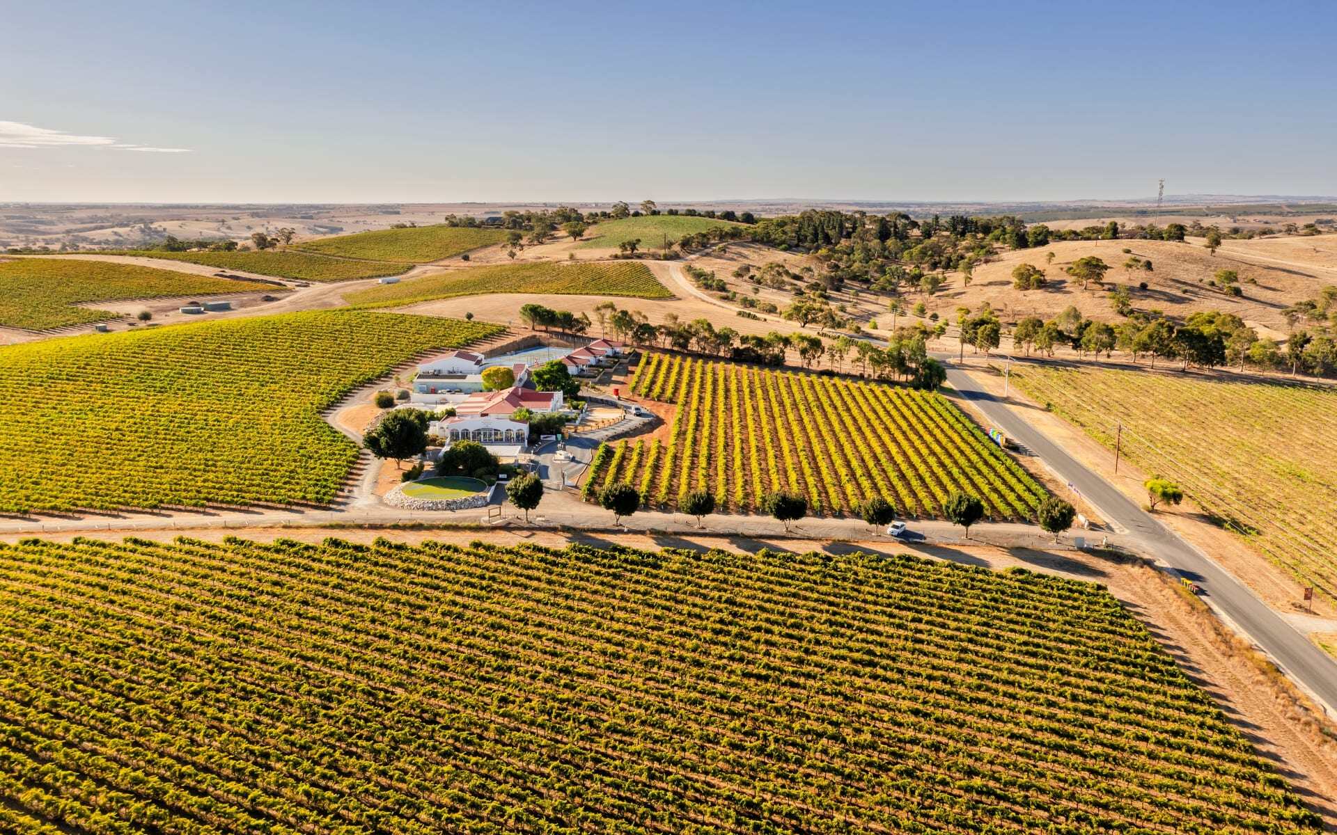 Barossa Valley is lush with green vineyards and colonial stays.