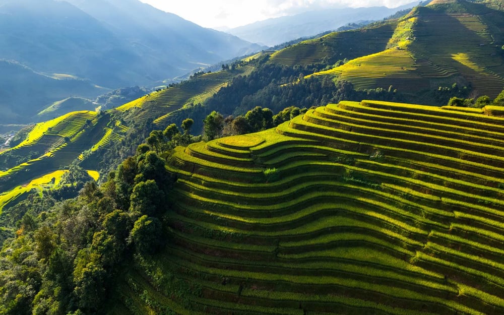 Sapa's rice fields are flourishing with green.