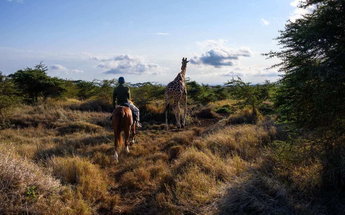 A safari ranger/guide follows a giraffe on horseback in Kenya.