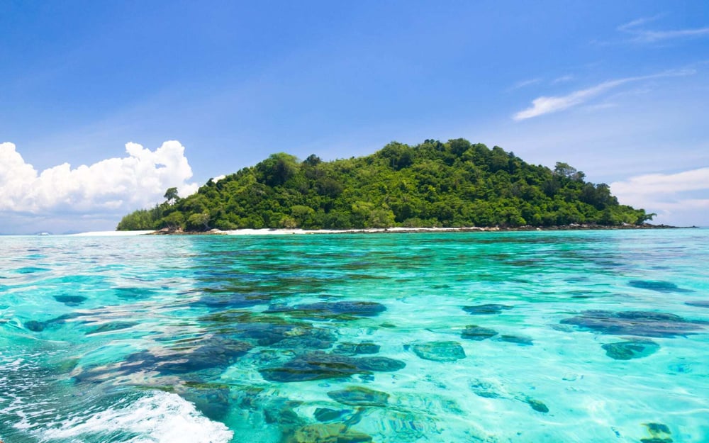 An island in the Maldives has green vegetation and is surrounded by turquoise waters.
