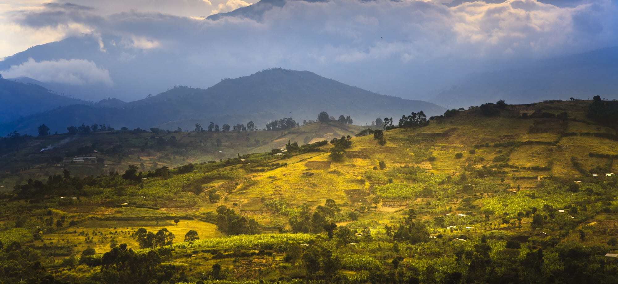 The Rwenzori Mountains in Queen Elizabeth National Park