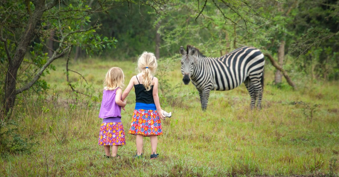 Two young girls watch a zebra graze as they carry their own toy zebra.