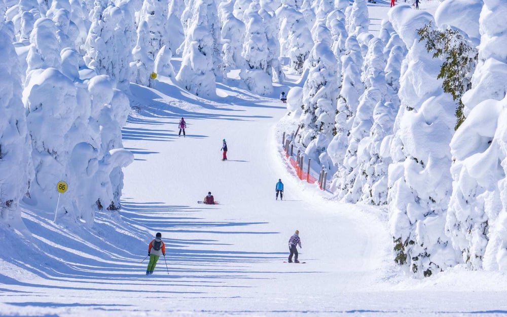 A group of skiers head down a snow-laden mountain in Japan.