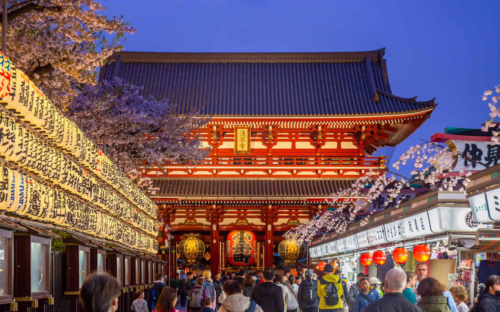 Visit the beautiful temples in Tokyo