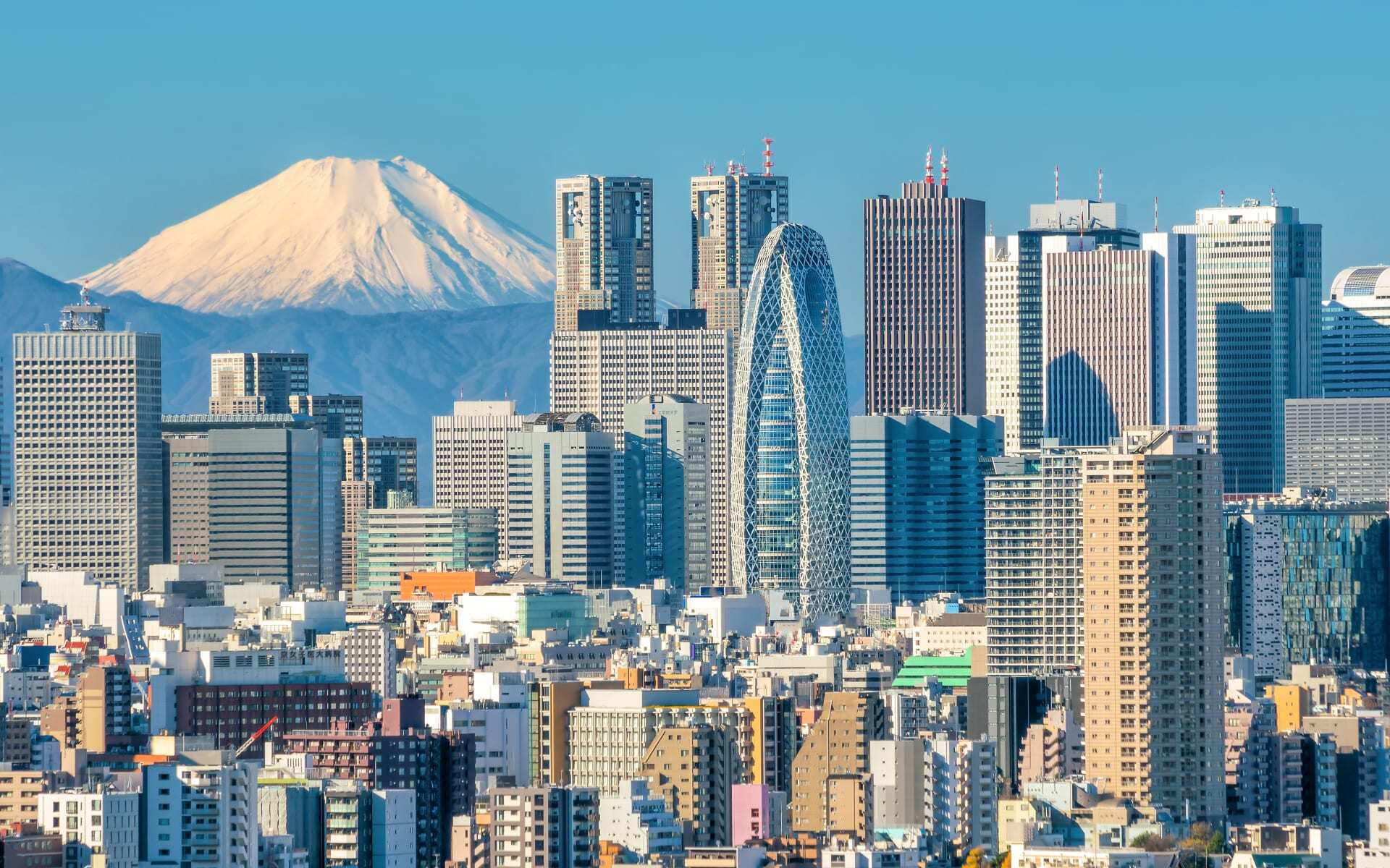 The tokyo city skyline