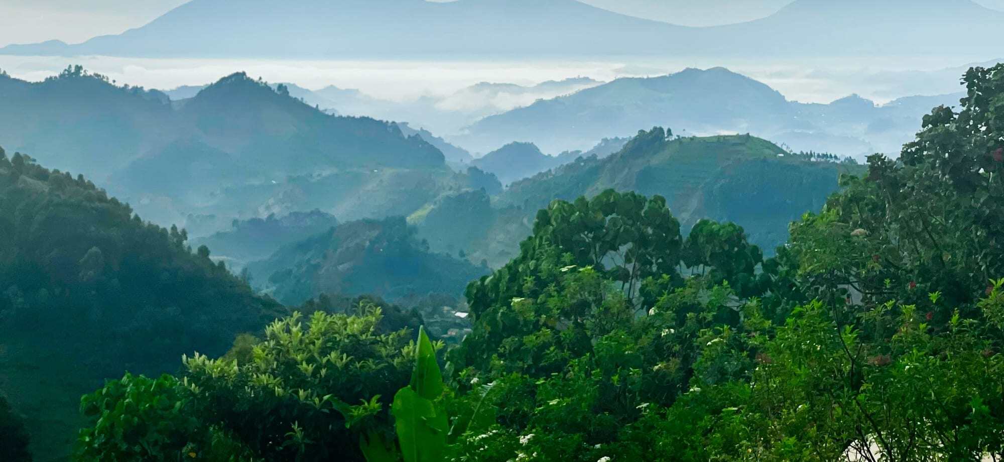 The Virunga Mountains in Rwanda look misty.