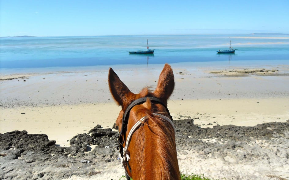 Horseback riding Kenya