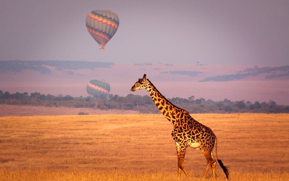 A hot air balloon floating over the Kenyan savanna, offering a memorable safari experience with breathtaking views of the landscape and wildlife