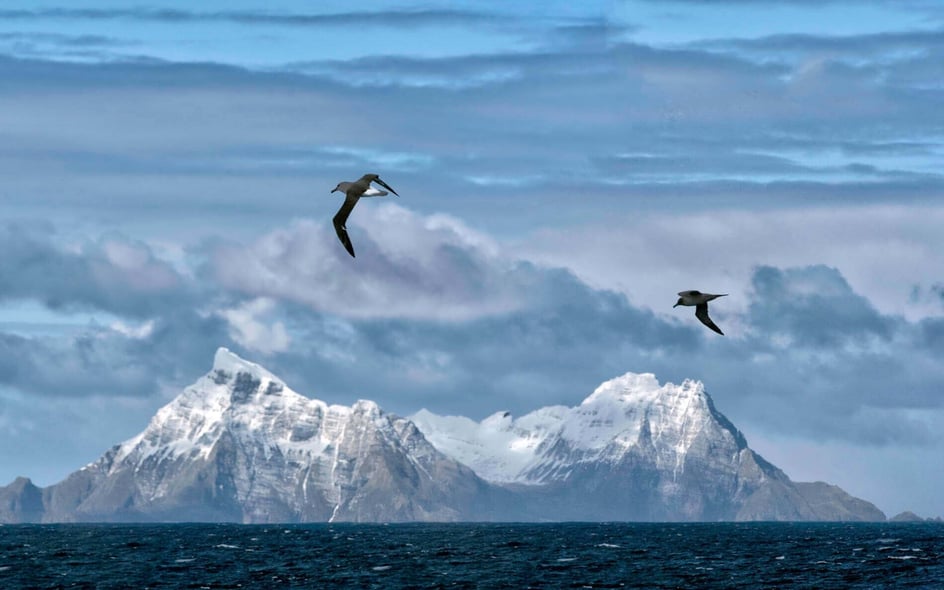 12 Books About Antarctica: What to Read on Your Polar Cruise