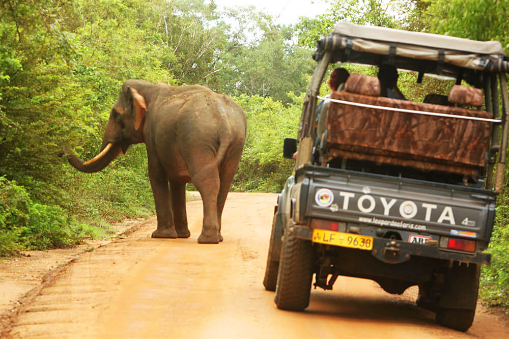 tusker-jeep-1