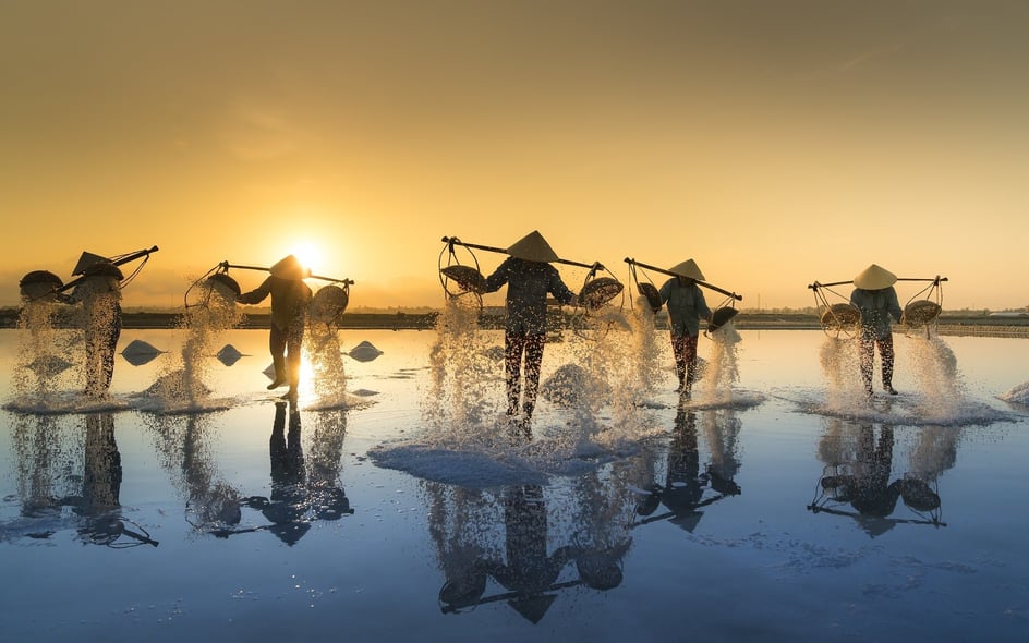 Wayfairer Travel Guide: Vietnam, offering luxury experiences and top recommendations for exploring Vietnam