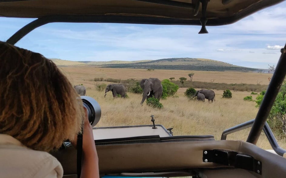 Guided wildlife photography holidays offered by Wayfairer Travel