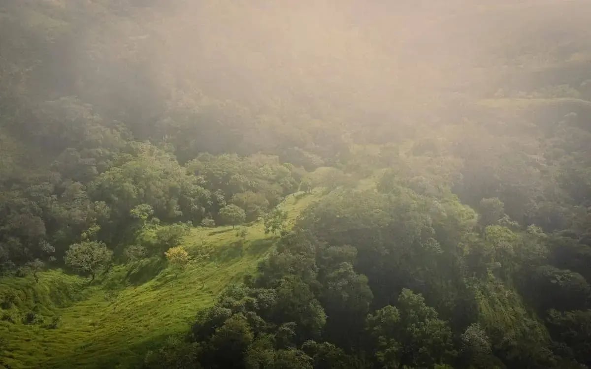 Monteverde_cloud_forest_costa_rica_free_stock_image_unsplashed_frames-for-your-heart_2021-1-1