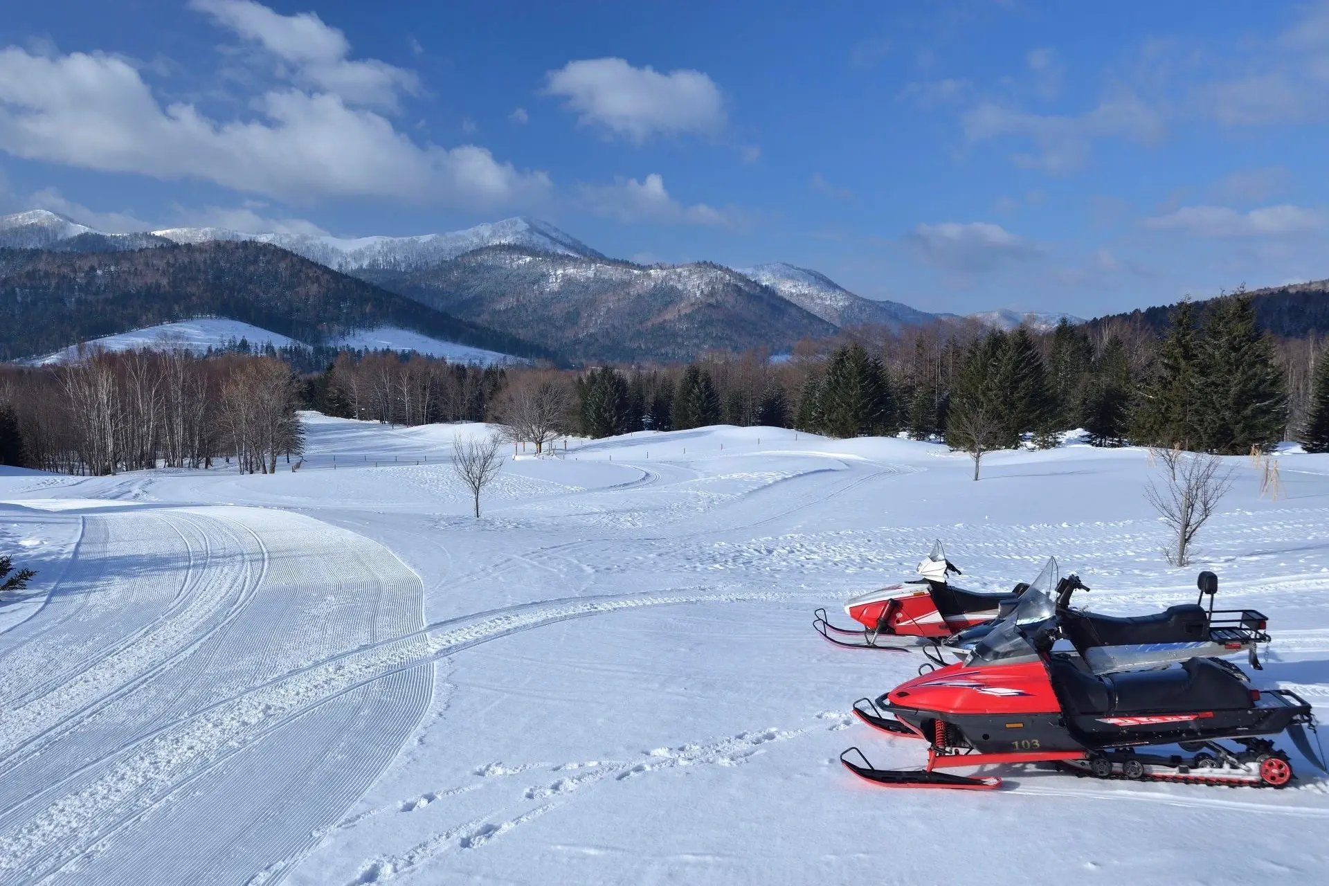 Snowmobiles in Japan