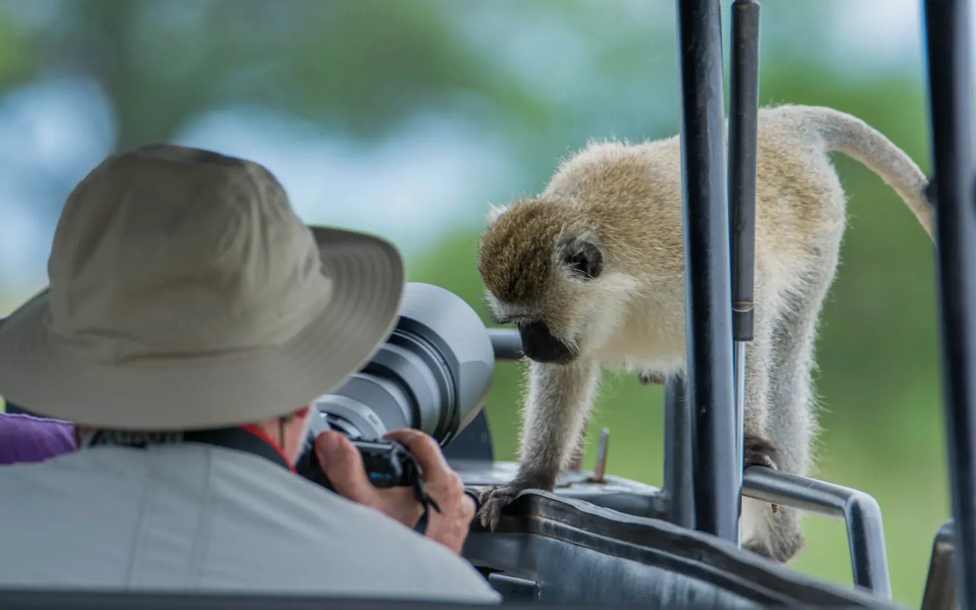Tarangire_np_Tanzania_shutterstock_499221622_vj4scr