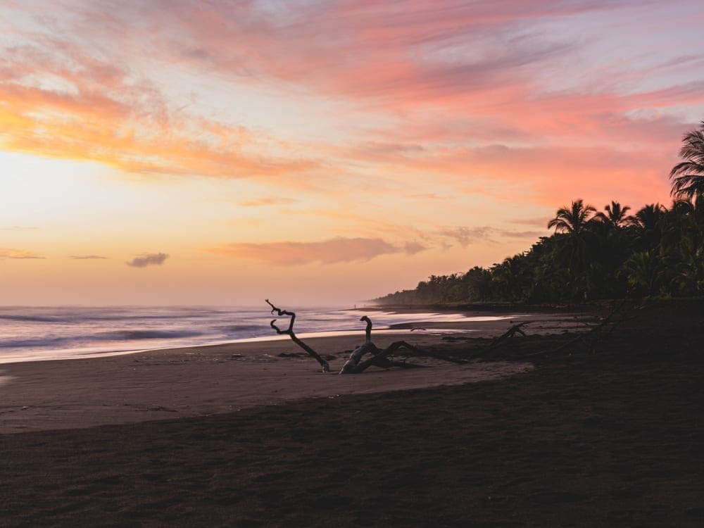 Tortuguero_costa_rica_free_stock_photo_unsplash_etienne-delorieux_2020-1