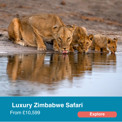 Luxury Zimbabwe Safari