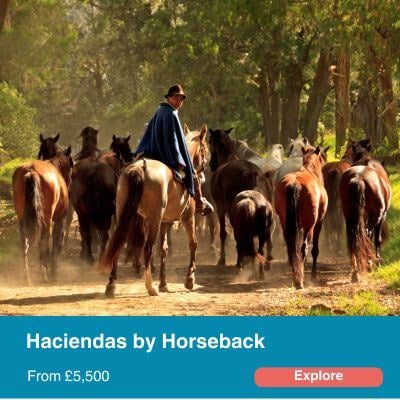 Haciendas by Horseback.