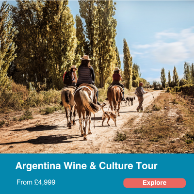 Argentina Wine and Culture TOur