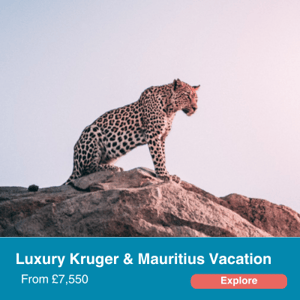Luxury Kruger & Mauritius Vacation 