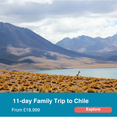 Family Trip to Chile