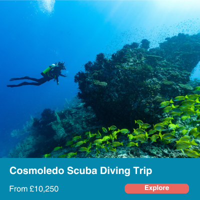 Cosmoledo Scuba Diving Trip.
