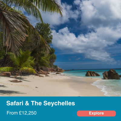 Safari & Seychelles Trip.