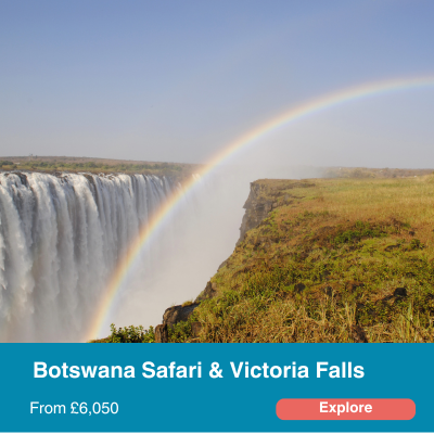 Botswana Safari & Victoria Falls