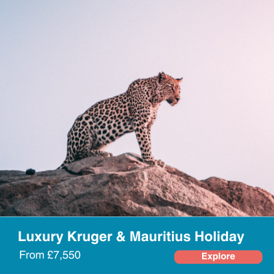 Website itineraries-Dec-13-2023-10-44-07-9793-AM